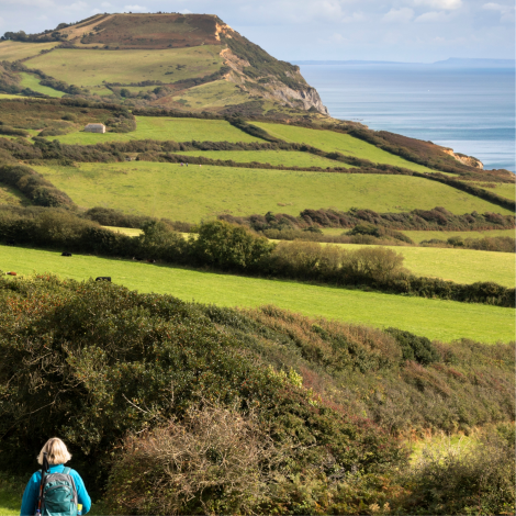 South Coast Ultra Challenge 2026
