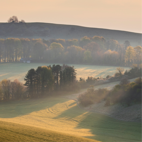 North Downs 50 Ultra Challenge 2026