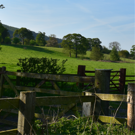 Chiltern 50 Ultra Challenge 2026